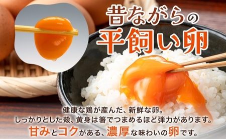 埼玉県蓮田市 平飼い卵 30個入 Lサイズ 玉子 新鮮 濃厚 コク 卵黄 鶏卵 タマゴ ギフト 卵セット 贈り物 プレゼント 食品 食材 朝ごはん 家族 団らん 朝食 昼食 ランチ 贅沢 お弁当