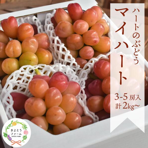 【ふるさと納税】【きよとうファーム】ハートの形が可愛い!マイハート3-5房（計2kg〜） 【2025年9月以降順次発送】 （岡山県産）【配送不可地域：離島】 / ぶどう ブドウ 葡萄 先行予約 フルーツ 果物 真庭市 フルーツ王国 きよとう果樹園 KF-B052A【1453555】