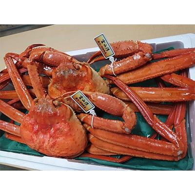 ふるさと納税 射水市 【おすすめ】新湊産紅ズワイガニ約800g×2尾(孫七タグ付)