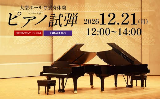 市川市文化会館大ホール　コンサート用ピアノ　スタインウェイD274　ヤマハCF3　2時間ピアノ試弾体験チケット　12月21日（月）12：00～14：00　【12203-0370-5】