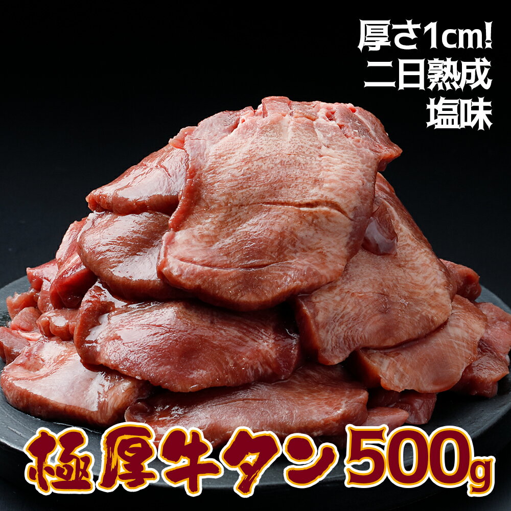 【ふるさと納税】《厚さ1cm!二日熟成》極厚牛タン 500g 塩味【至福の逸品】 肉 大崎市