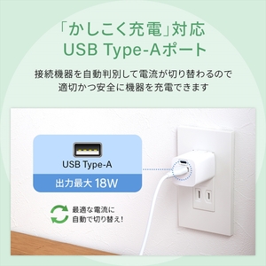 Owltech(オウルテック) 最大PD30W出力 GaN採用 USB Type-C×1 USB Type-A×1 AC充電器 OWL-APD30C1A1R-BK ブラック