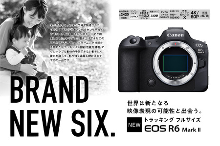 キヤノン ミラーレスカメラ EOS R6 Mark II・RF24-105 L IS USM レンズキット R14152 家電 写真 正規品 トラッキング ミラーレス一眼 Canon キャノン 【大分県大分市】