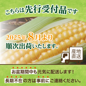 【2024年分先行予約】北海道十勝芽室町 なまら十勝野のスイートコーン ゴールドラッシュ(30本) me001-011-24c