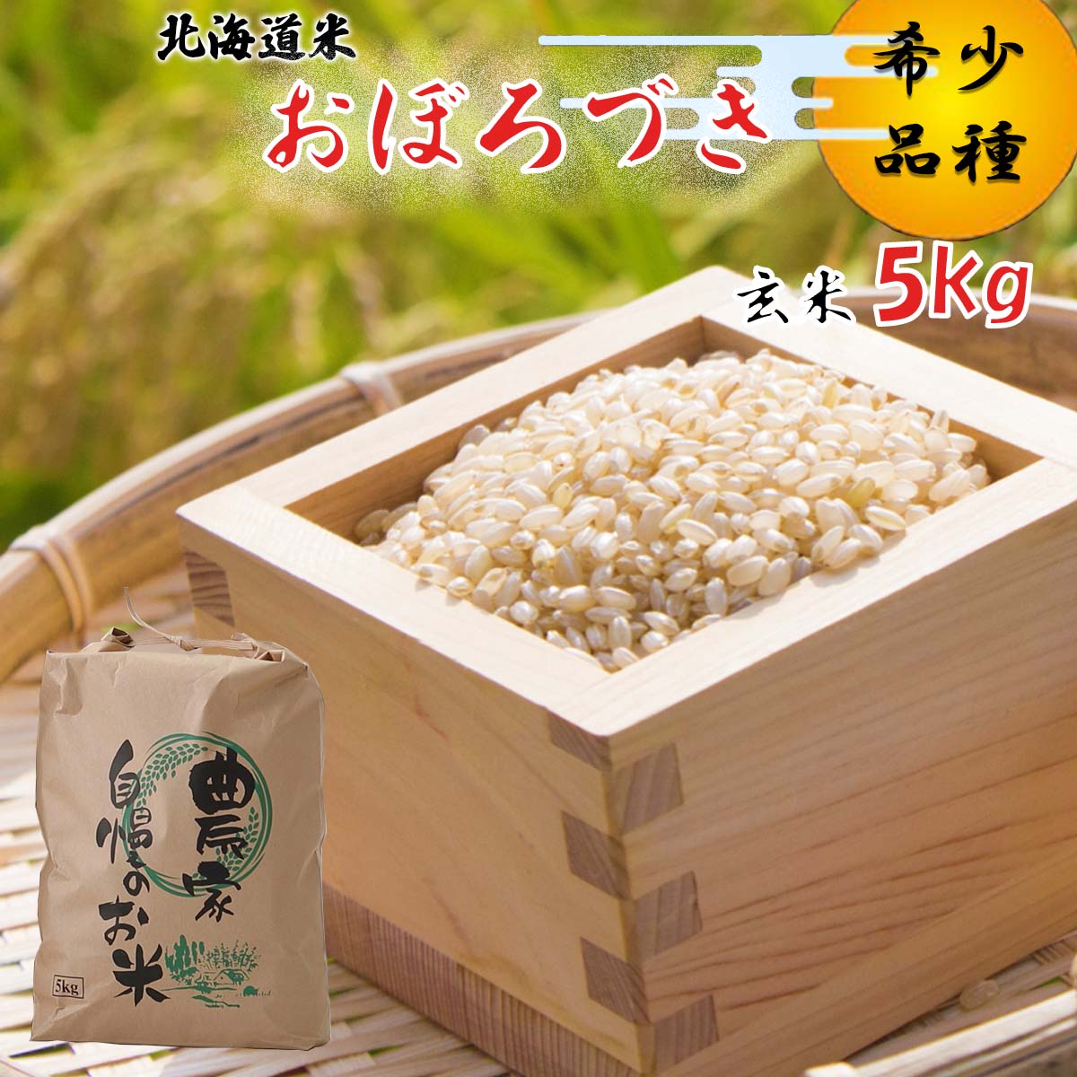 【ふるさと納税】 ＜ 10月中旬から順次発送 ＞ 新米 令和7年度産 北海道米 おぼろづき 玄米 5kg 希少米 米 お米 お弁当 おにぎり 常温 北海道 新ひだか町 ＜ 予約受付 ＞