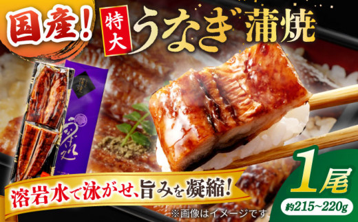 うなぎ老舗専門店のパリっとふっくら国産うなぎ 蒲焼1尾(蒲焼のタレ付き) 島根県松江市/株式会社山美世商会 [ALDC003]｜国産 うなぎ ウナギ 鰻 秘伝のタレ 蒲焼き 国産 島根 松江 おすすめ 人気