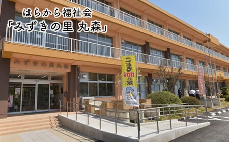 運動する人・忙しい人に！HIGH CLEAR ハイクリアー プロテインバー mini BAR チョコ味 2本入り×12袋【18103】