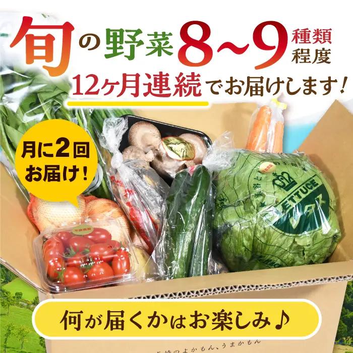 月2回お届け【24回定期便】諫早産 野菜の詰め合わせ 8・9品目程度 / 季節 旬 野菜 やさい 春野菜 夏野菜 秋野菜 野菜セット 詰め合わせ 野菜定期 野菜定期便 定期便 / 諫早市 / 肥前グロ
