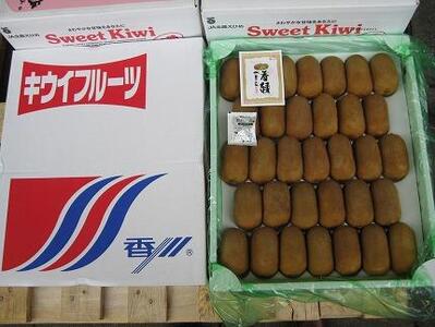 【さぬき讃フルーツ】香緑キウイ 約3kg