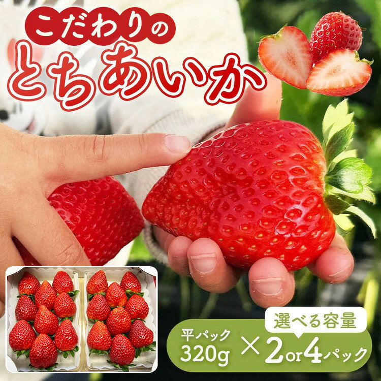 【ふるさと納税】【選べる内容量】 とちあいか 平パック 320g 2パック 4パック ｜ いちご 苺 栃木県 果物 フルーツ ※北海道・沖縄・離島への配送不可 ※2026年1月中旬～3月中旬頃に順次発送予定