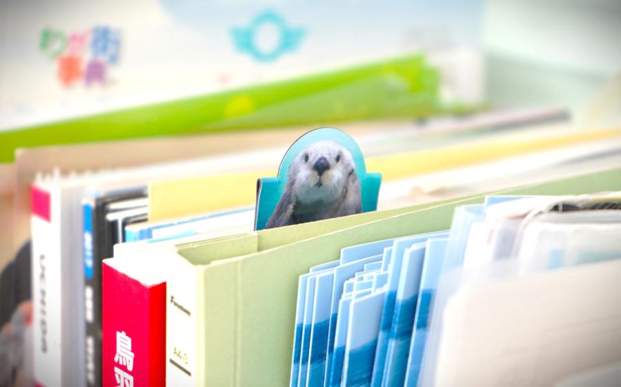 本棚からもひょっこり現れるラッコのメイ氏のしおり