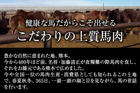 馬刺しの皿盛り(スライス)【熊本肥育】 赤身400g/フタエゴ120g/コーネ120g(タレ5ml×6袋)《30日以内に出荷予定(土日祝除く)》 熊本県 葦北郡 津奈木町