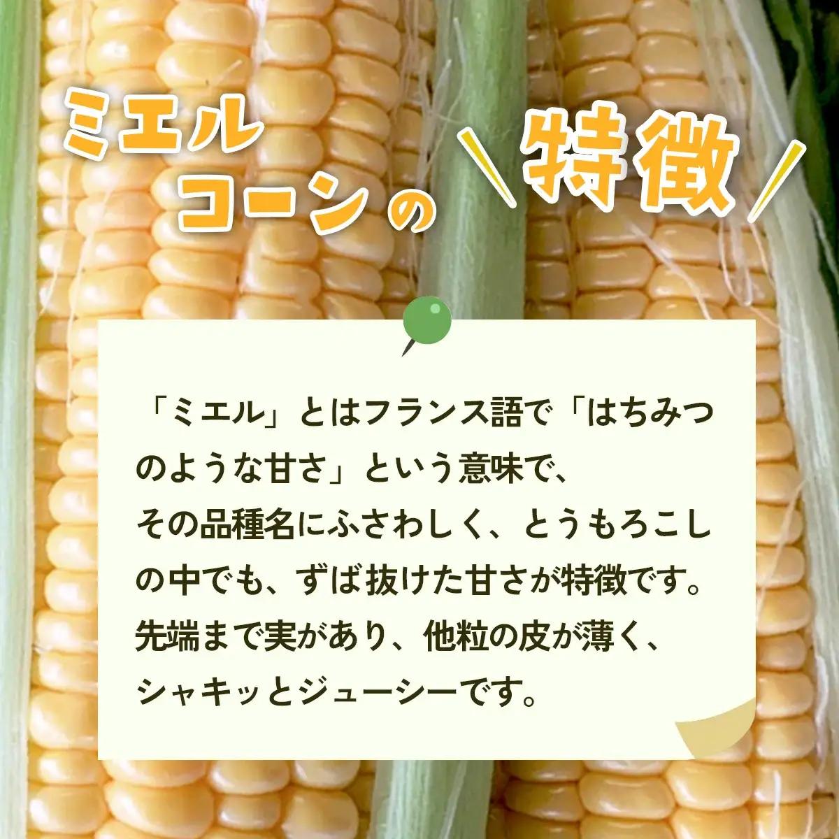 とうもろこし ミエルコーン 約6kg 茨城県産 トウモロコシ 訳あり