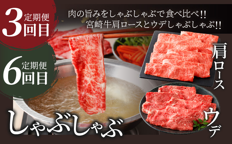 6か月お楽しみ定期便『宮崎牛よくばりセット』総重量4.8kg 肉 牛 牛肉 おかず 国産_T030-1843