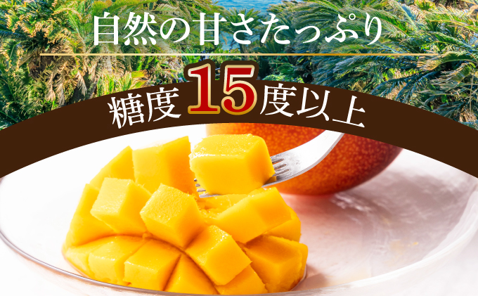 TAZ4L　＜先行予約受付中＞数量限定！宮崎完熟マンゴー (4L×2玉) 化粧箱入り【高橋マンゴー農園】【TAZ4L】