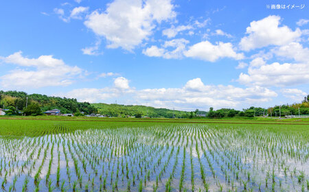 【全3回定期便】【新米】雲南市産コシヒカリ 2kg 島根県雲南市/有限会社藤本米穀店 ｜こしひかり 白米 精米 コメ 2キロ[AIDB107]