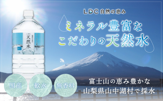 自然の恵み天然水　2L×24本（6本入り4ケース）　計48L　※沖縄・離島配送不可 YX004