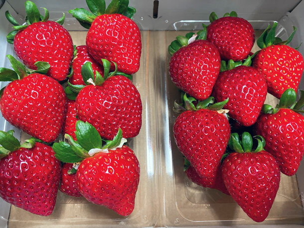 【ふるさと納税】埼玉県オリジナルいちご品種「あまりん」2パック（横瀬町・おきうね農園）