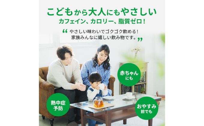 麦茶 定期便 3ヶ月 GREEN DA・KA・RA やさしい麦茶 2L × 6本 サントリー ペットボトル 茶 お茶 飲料 飲み物 ドリンク 備蓄 常温 常温保存 カフェイン ゼロ カロリーゼロ 大麦