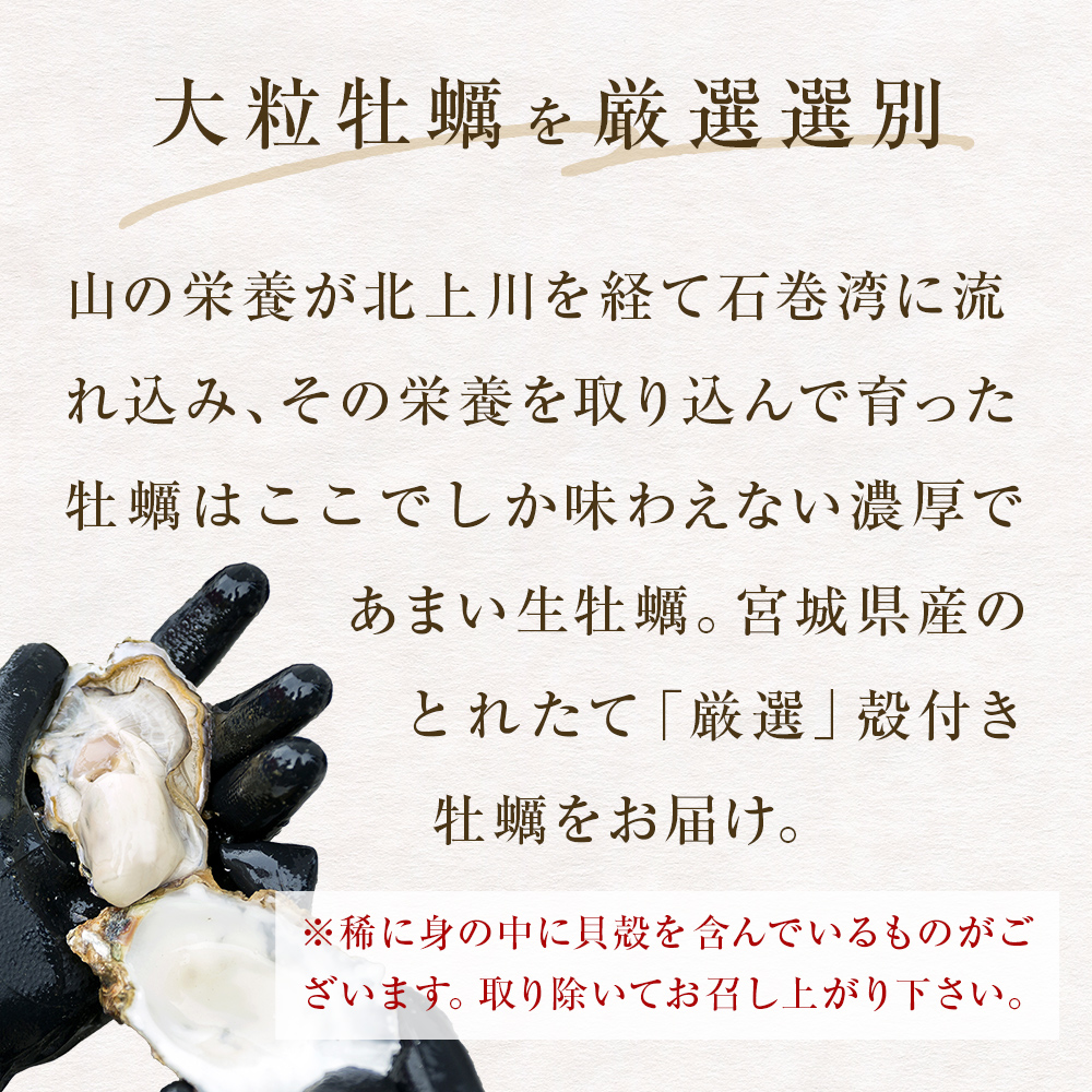 冷凍殻付き牡蠣　21個