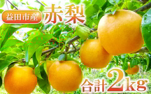 
赤梨 2㎏(幸水梨・豊水梨・新高梨・新興梨)【梨 先行予約 赤梨 2kg 詰め合わせ セット 幸水梨 豊水梨 新高梨 新興梨 なし 果物 くだもの フルーツ 季節限定 期間限定 ギフト 贈り物】
