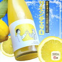【ふるさと納税】リモンチェッロ 500ml 6本セット 綺麗な湧水で育てた完熟レモンでつくりました!
