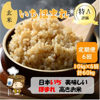 ふるさと納税 あわら市 【毎月定期便】いちほまれ 玄米 5kg×2袋(計10kg)全6回