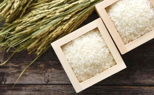 【令和7年産】 ひのひかり 10kg（ご飯の友付き）米 白米 熊本県 益城町産 【2025年10月上旬より順次発送予定】