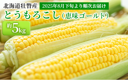 ＜2025年8月下旬より順次お届け＞北海道壮瞥産 とうもろこし（恵味ゴールド）約5kg SBTA001