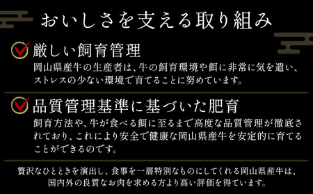 岡山県産牛 切り落とし 交雑牛 1kg お試し 大容量