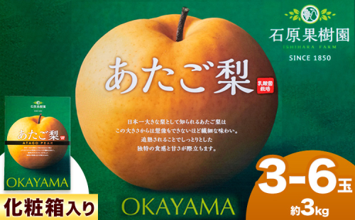 【先行予約】あたご梨 3～6玉 約3kg 化粧箱 石原果樹園 赤秀 《2026年11月中旬-12月下旬頃より発送予定》岡山県 浅口市 梨 なし 果物 フルーツ くだもの あたご