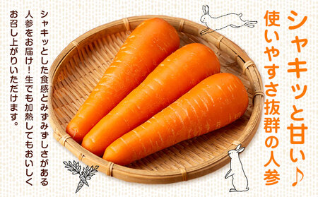【先行予約】人参 約10kg (35-65本) 日本フルーツ株式会社《2026年4月上旬-6月上旬頃出荷》熊本県 菊池市 にんじん ニンジン 野菜 熊本県産