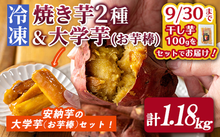 n354 ＜期間限定！干し芋100gをセットでお届け！＞「鹿児島県産紅はるか」と「種子島産安納芋」冷凍焼き芋食べ比べ＆サクッとお芋棒(冷凍大学芋)(合計1.18kg) 国産 さつまいも さつま芋 安納芋 安納いも サツマイモ べにはるか おやつ スイーツ 【ファーム工房】