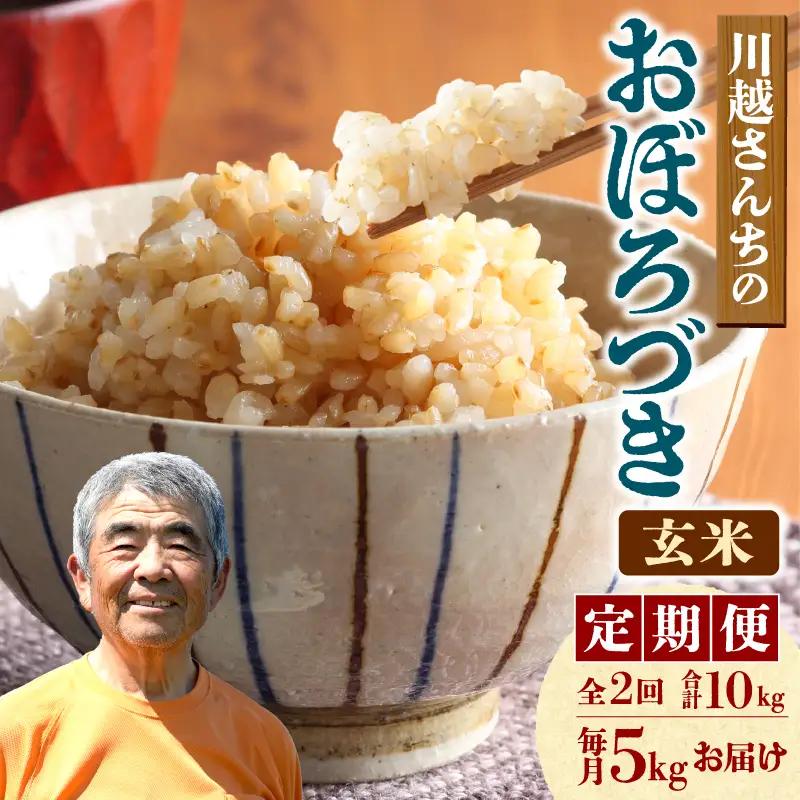 【定期便2回】令和7年産 おぼろづき 玄米 5kg（5kg×1袋）雨竜産 北海道