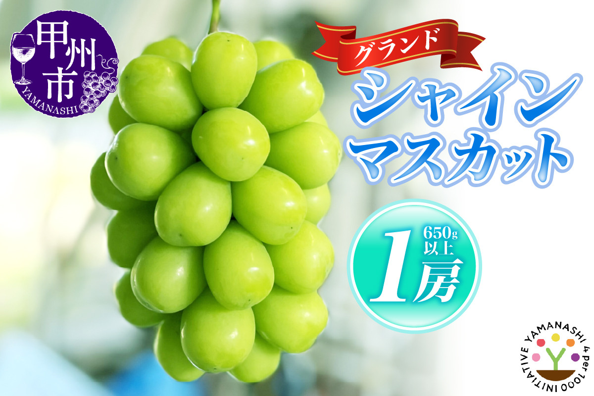 
                  【輝琳】KOSHUグランドシャインマスカット 650g以上（1房）【2026年発送】（SFM）B-965 【シャインマスカット 葡萄 ぶどう ブドウ 令和8年発送 期間限定 山梨県産 甲州市 フルーツ 果物】
                