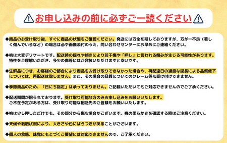 ◆2024年夏発送◆＜ 産直・訳あり桃・約1.5kg ＞ ※着日指定不可 ※北海道・沖縄・離島への配送不可 ※2024年7月中旬～9月中旬頃に順次発送予定