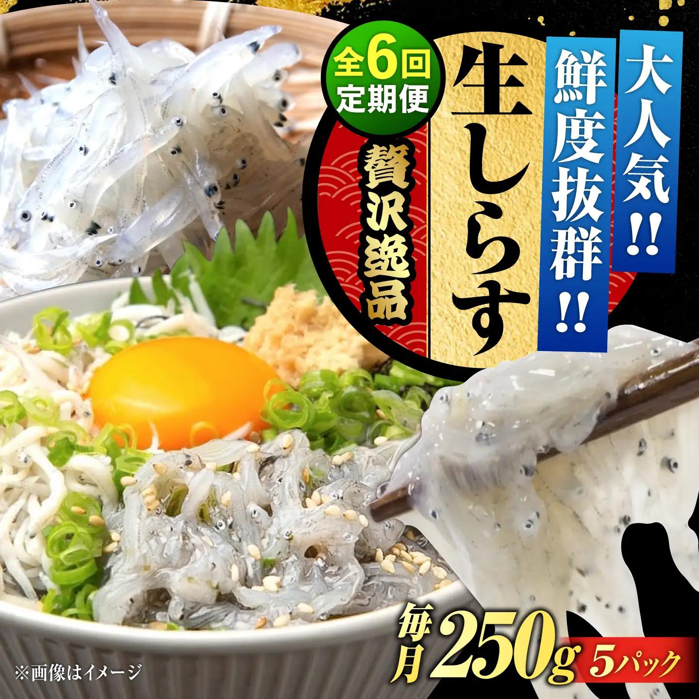 【全6回】冷凍生しらす50g×5個 しらす[XCN012]