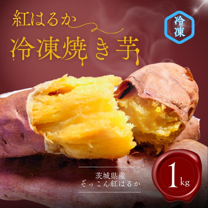 【ふるさと納税】 ぞっこん 紅はるか 冷凍 焼き芋 約1kg Mサイズ 2Sサイズ さつまいも 産出額全国1位 焼芋