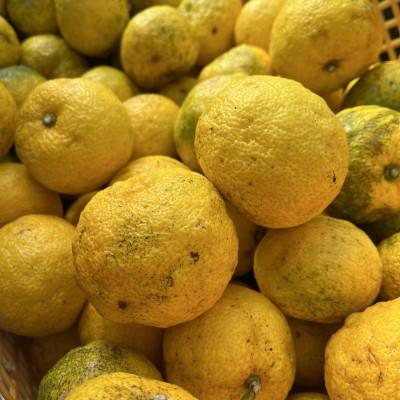 ふるさと納税 三好市 ゆず酢(500ml2本セット) |  | 02