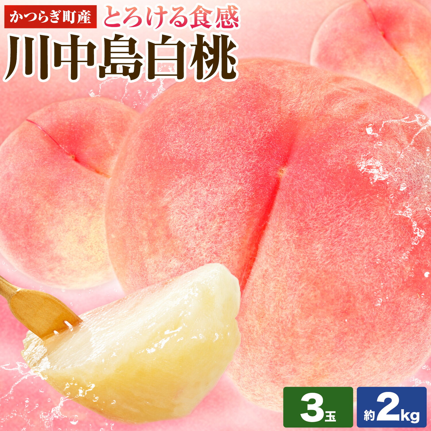 【ふるさと納税】川中島白桃 かつらぎ町産 選べる 内容量 3玉 約2kg(6~9玉) 道の駅 くしがきの里 紀農人株式会社《2027年7月中旬-8月末頃出荷》和歌山県 日高川町 果物 フルーツ 桃 もも モモ 旬 送料無料