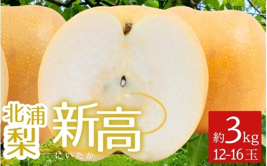 梨 新高 北浦梨 3kg（12～16玉） / 梨 新高 なし ナシ 北浦梨 にいたか 美里 自家用 贈答 梨 新高 果物 フルーツ【okjn003】