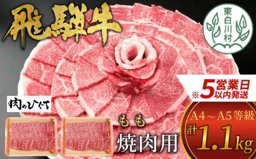 
            【スピード発送】 飛騨牛 もも 焼肉用 1.1kg 550g×2 A5 A4 国産 牛 冷凍 和牛 牛肉 もも肉 モモ 焼き肉 やきにく 赤身 ギフト 贈答 おすすめ BBQ バーベキュー キャンプ にく お肉 肉 東白川村 岐阜 飛騨 贅沢 霜降り 肉のひぐち 30000円 三万円 すぐ届く 即納 最短発送 最速発送
          