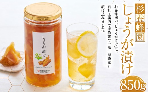 熊本 杉養蜂園 しょうが漬け 850g 蜂蜜 はちみつ