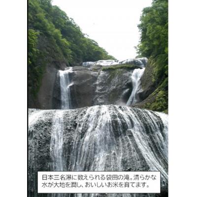 ふるさと納税 茨城県 筑波山麓産米を中心に厳選した【茨城県産こしひかり】白米5kg 令和7年産 |  | 03