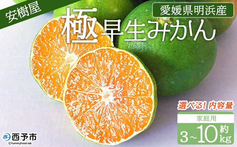 
            ＜安樹屋 愛媛県明浜産 極早生みかん 約3～10kg（家庭用）＞ 選べる 内容量 柑橘 みかん ミカン 蜜柑 果物 くだもの フルーツ ごくわせ 3キロ 5キロ 10キロ 産地直送 安樹屋 愛媛県 西予市【常温】『2025年9月中旬～10月中旬に順次出荷予定』
          