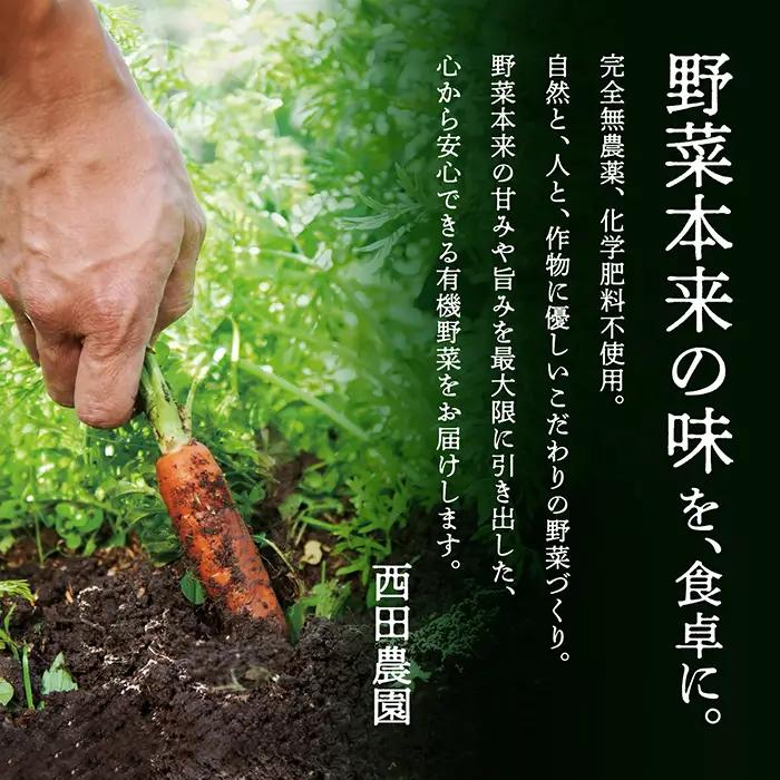 有機野菜 定期便 3ヶ月 有機野菜