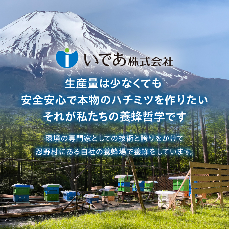 忍野村産　はちみつ大　670g　【近々2025年産新商品リリース予定】