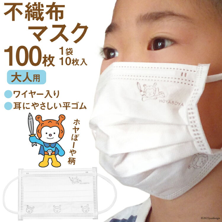 【ふるさと納税】【ホヤぼーやマスク】 不織布マスク 大人用 計100枚 10枚入 ×10袋 [気仙沼市物産振興協会 宮城県 気仙沼市 20565244] マスク 不織布 ワイヤー入り 大人用サイズ キャラクター