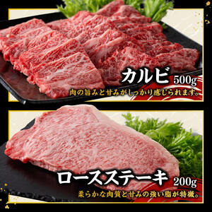 宮崎牛 堪能セット 【スペシャル】 合計1.6kg【 肉 牛肉 国産 宮崎県産 黒毛和牛 和牛 モモスライス カルビ 】