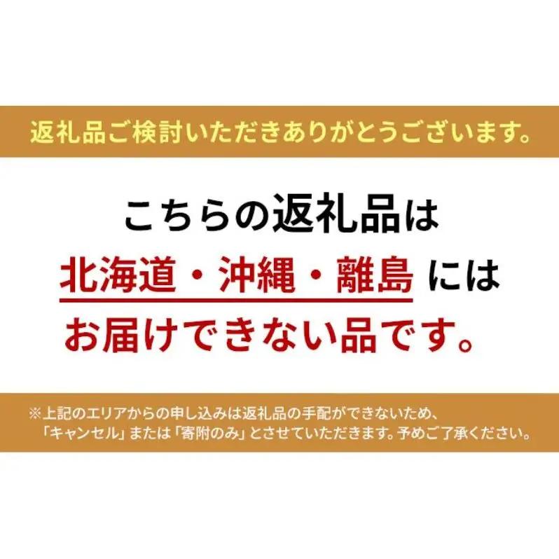 ゴルフ リンクスゴルフ ゴルフ練習 器具 ダワ筋スティック スタンダードタイプ 赤×紺 1本 ゴルフ練習器具 スイング 矯正 練習器具 スイング練習器具 スイング練習 素振り 棒 飛距離アップ ゴルフ